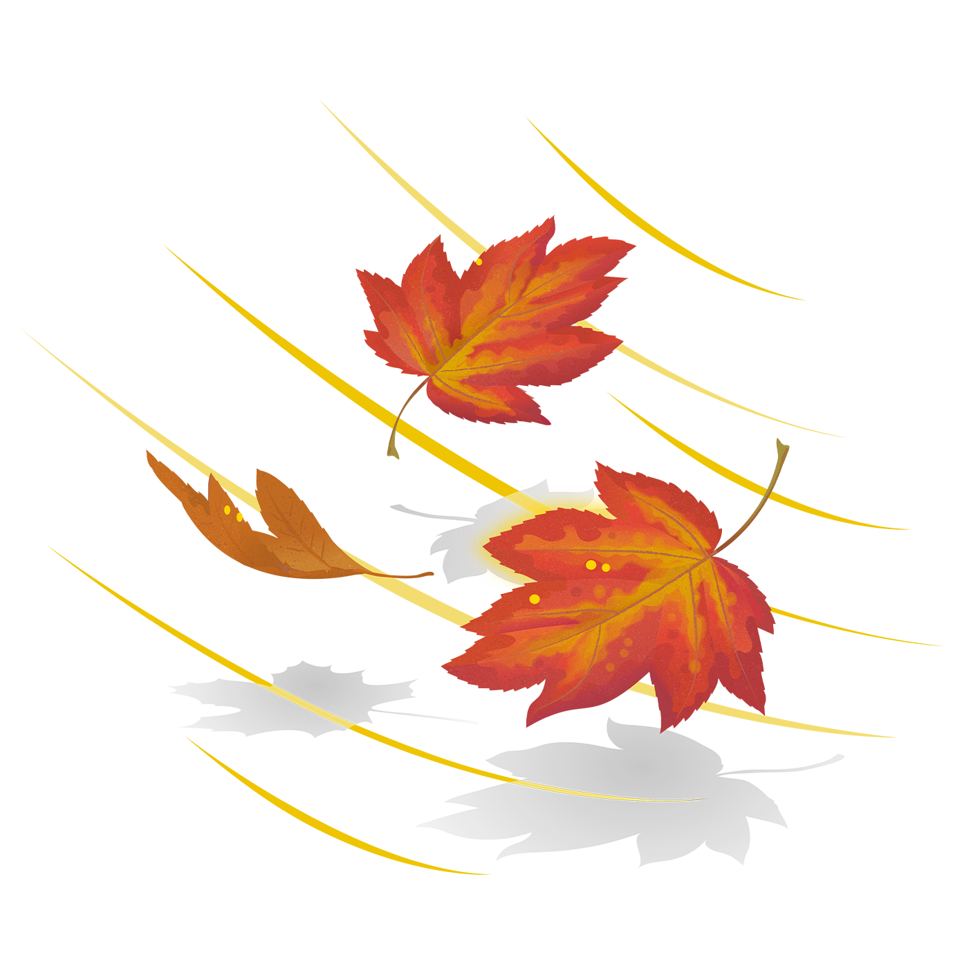 Illustration höstlöv